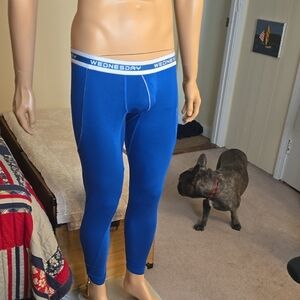 Men's Blue Leggings